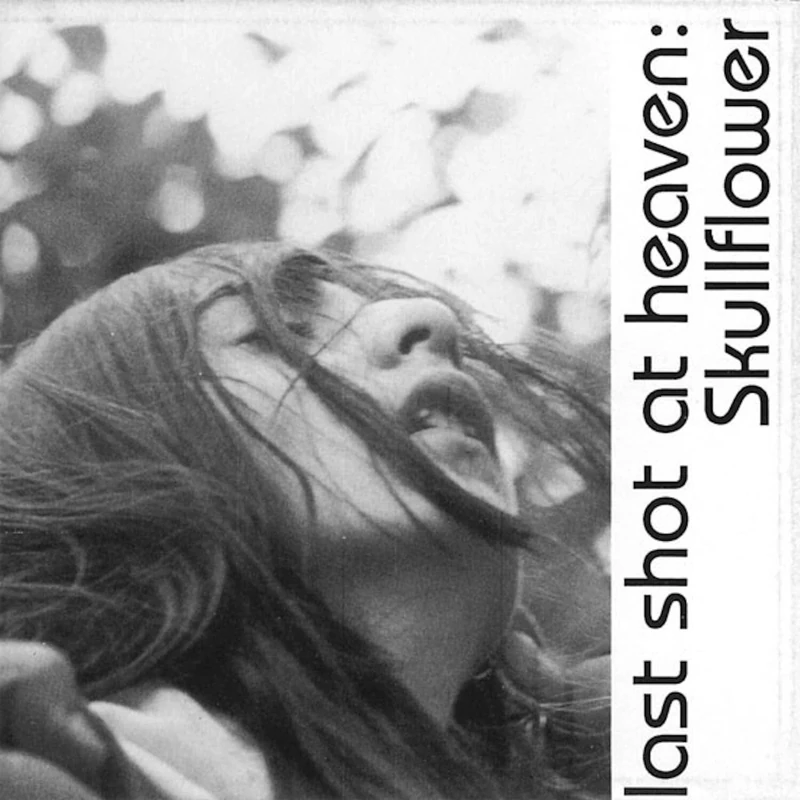 Lost Shot At Heaven [VINYL]