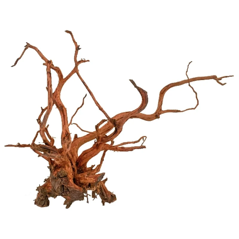 Amtra Wood Red Spider King - Size L 75+ cm, Natural Wood Decoration for Aquariums, Natural Trunk Ornamental Ornament, Decorative Accessory for Terrariums