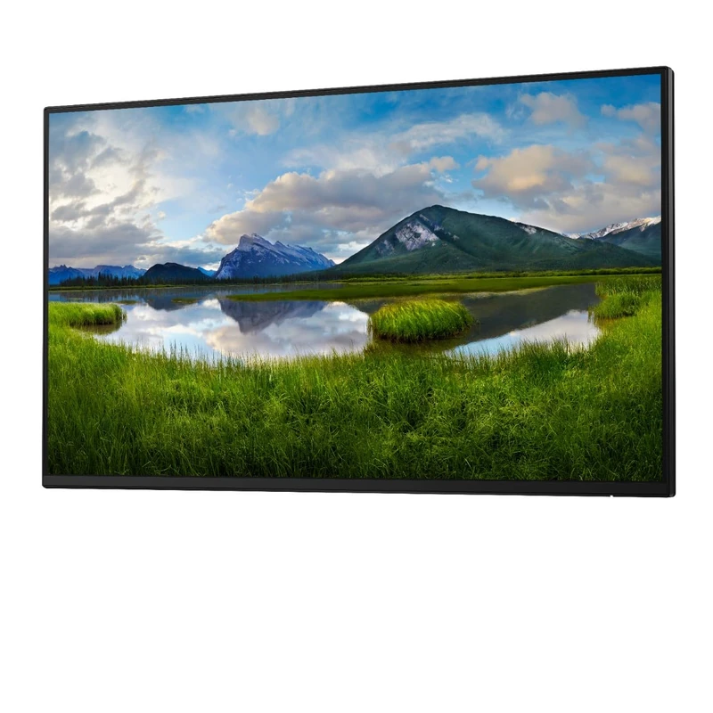 Dell 24 Monitor P2425H 23.8inch