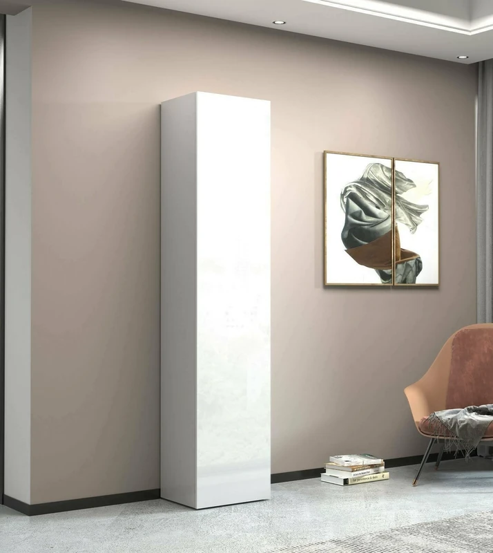 Dmora Zenone Multi-Purpose Wardrobe with 1 Door, Multi-purpose Cabinet with 1 Door, Multifunctional Wardrobe, 45 x 35 x 190 cm, White