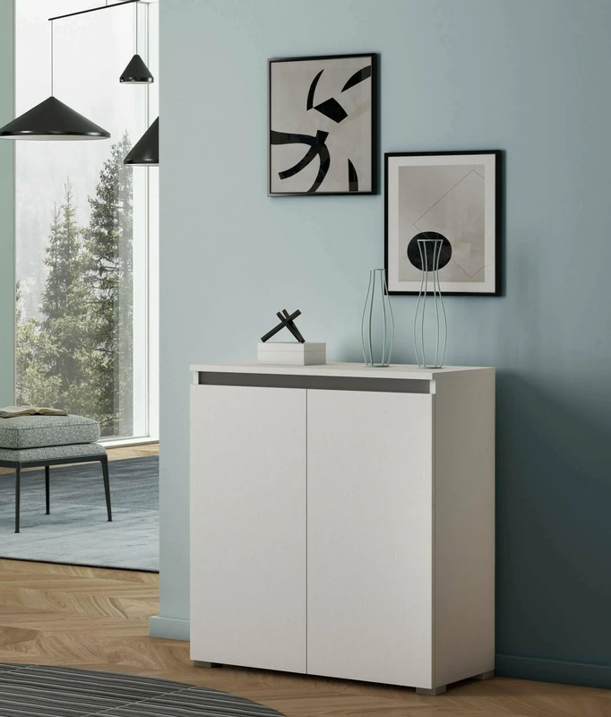 Dmora Calla Shoe Rack, Multi-Purpose Storage Unit with 2 Doors, Storage Cabinet with Shelves, 100% Made in Italy, 80 x 37 x 102 cm, White