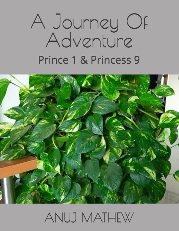 A Journey Of Adventure: Prince 1 & Princess 9