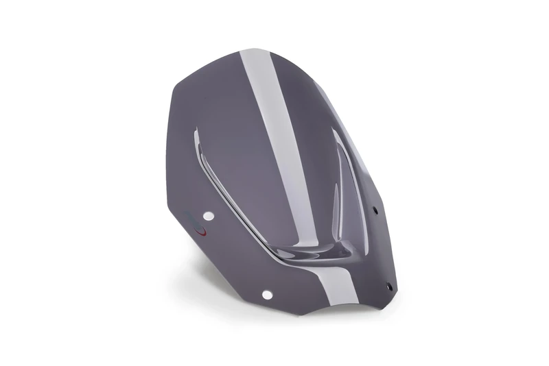 Puig 21794F Sport Screen Dark smoke