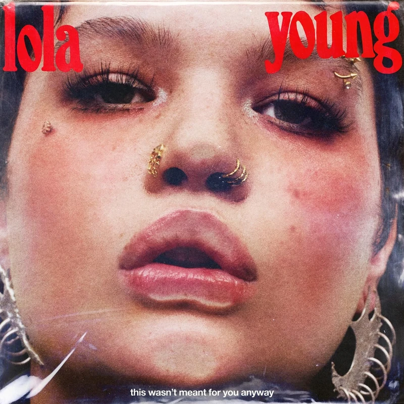 This Wasn't Meant For You Anyway [Explicit]