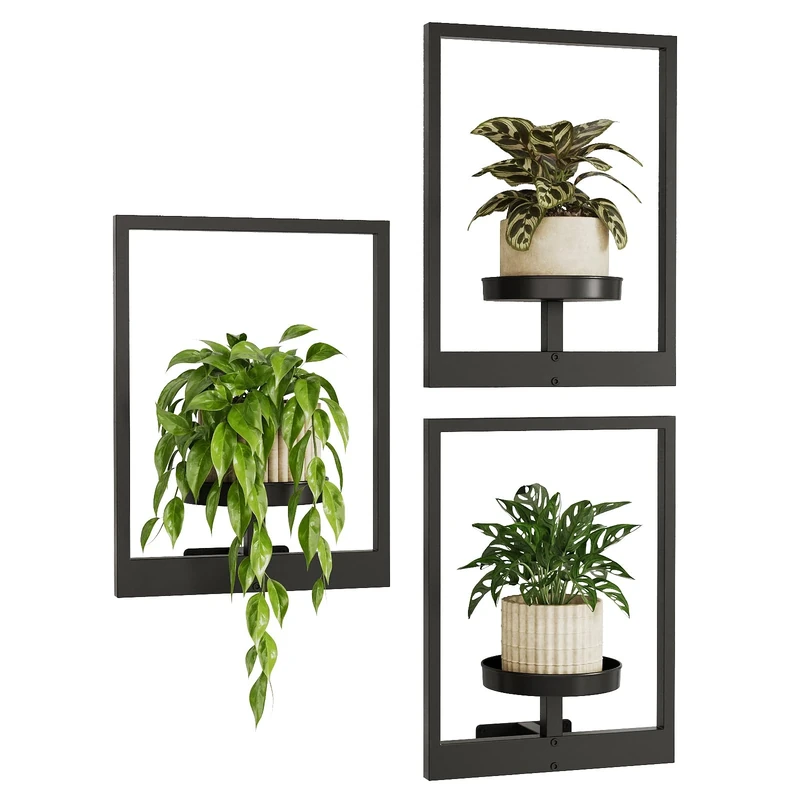 Bamworld Hanging Planters for Indoor Plants Wall Decor Living Room Plant Stand Indoor Wall Planters Plant Hanger Window Plant Shelves 3 Pack for Outdoor Entryway