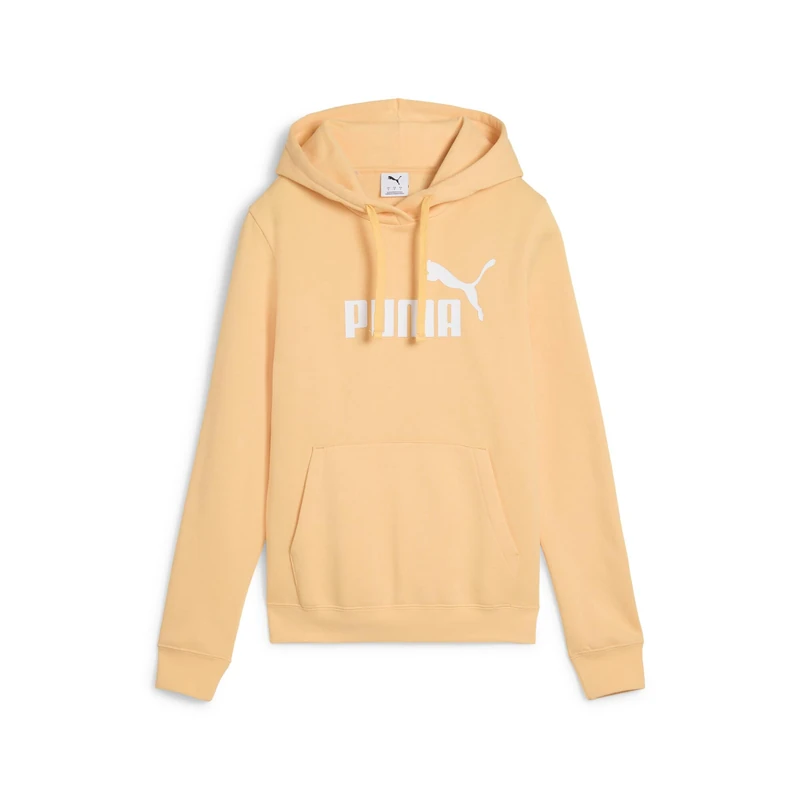 ESS No. 1 Logo Hoodie FL (s)
