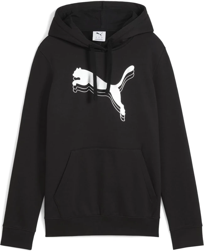 ESS METALLIC Hoodie FL