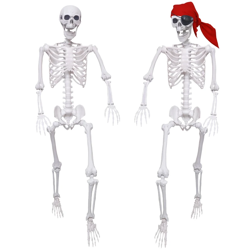 IDMOP 2 Pack 5.4Ft Halloween Human Skeletons, Life Size Full Body Bones with Movable Joints for Halloween Pose Skeleton Prop Decoration