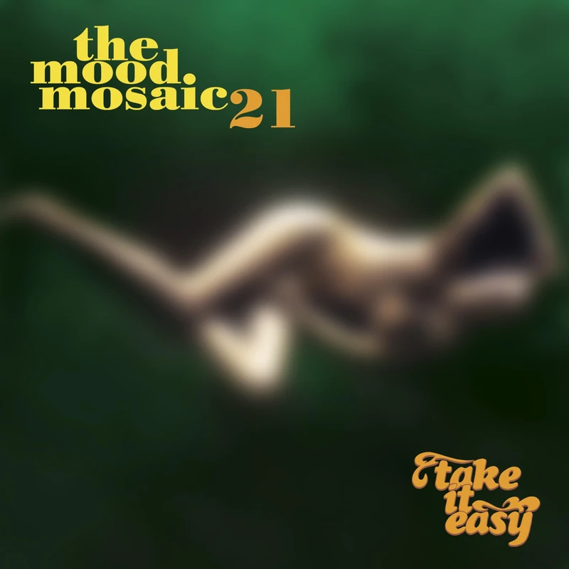 Mood Mosaic 21 [VINYL]