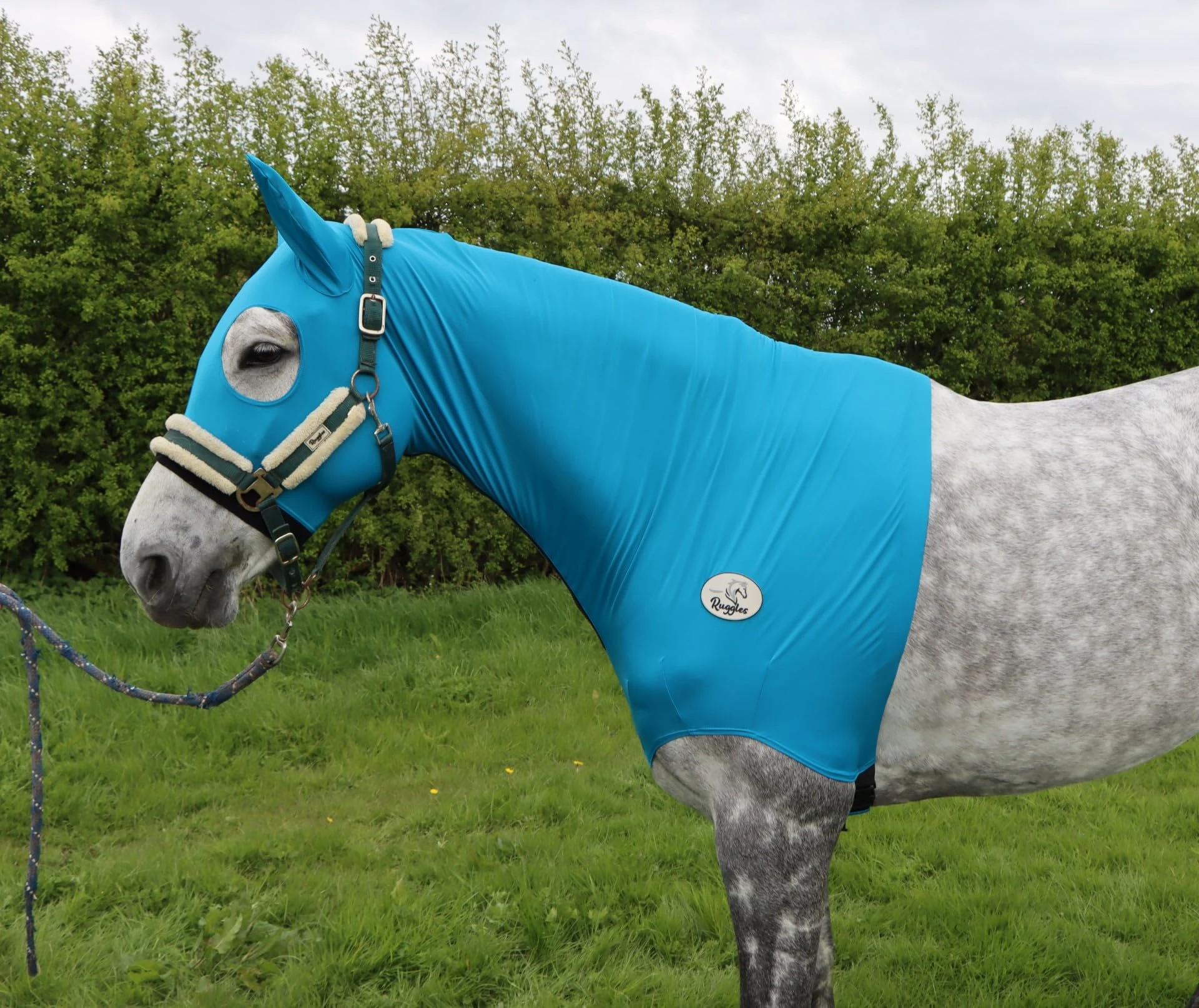 Ruggles Lycra Hood for Horses and Ponies, Chin to Chest Zip, Four way stretch Nylon Lycra, Available With or Without Ears (Teal, Large With Ears)