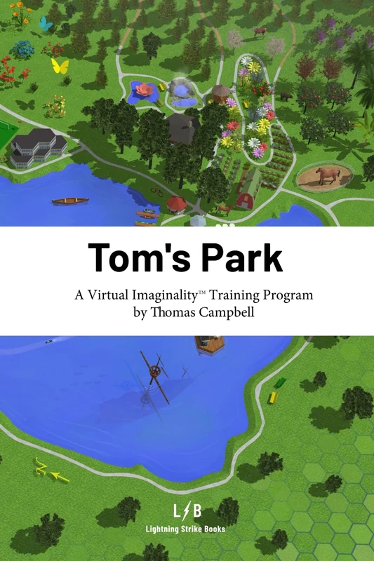 Tom's Park: A Virtual Imaginality™ Training Program
