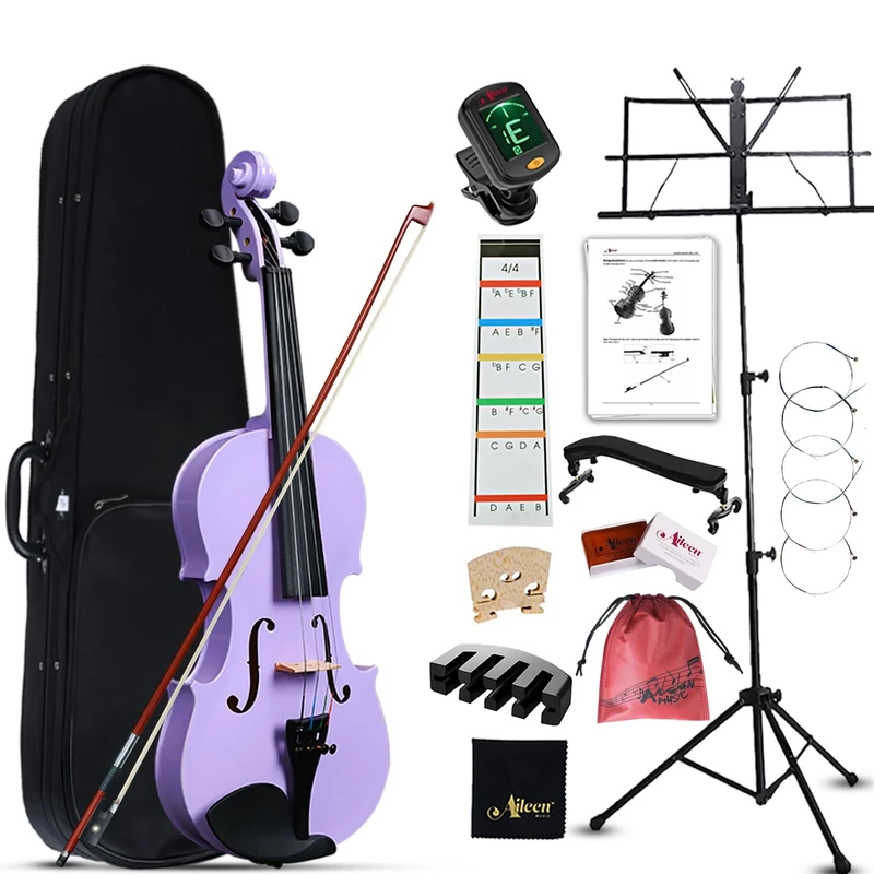 Aileen Student Violin for Beginners (purple, 4/4 full size)
