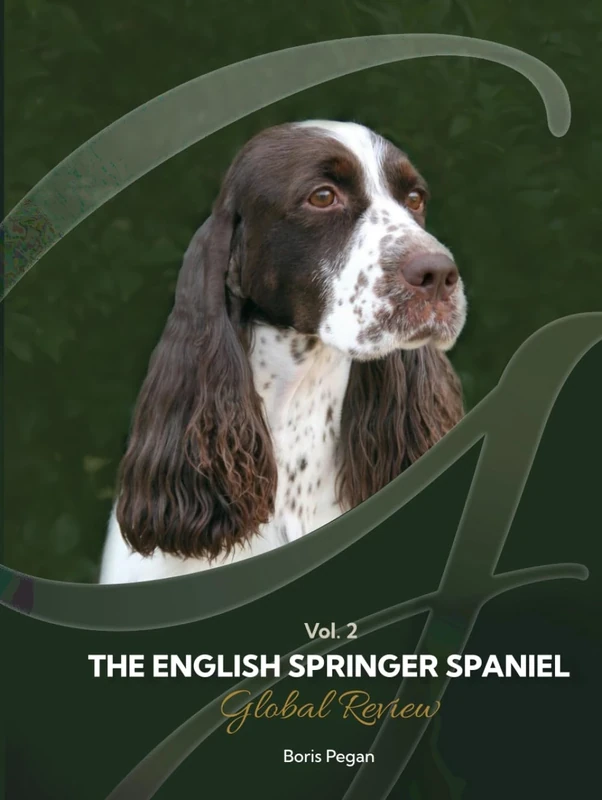 The English Springer Spaniel Global Review vol.2 - Image 1