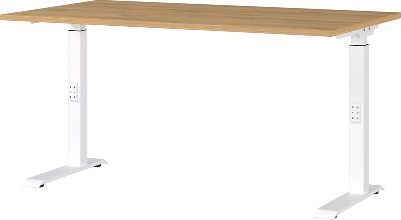 Germania Desk 7904-552, in Grandson oak repro/White, me. height adjustment, 140 x 91 x 80 cm (WxHxD)