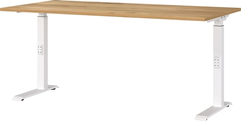 Germania Desk 7911-242, in Navarra oak repro/White, me. height adjustment, 160 x 91 x 80 cm (WxHxD)