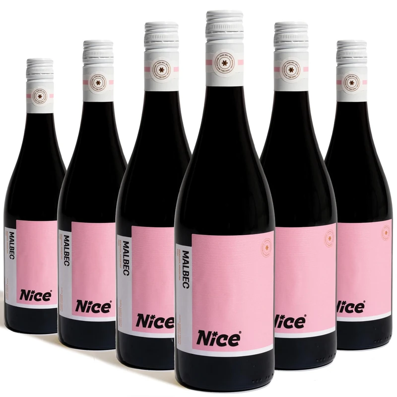 Nice Malbec, Argentinian Wine in a Bottle, Juicy & Fruity Red Wine from Mendoza Region, Darkly Fruity, Wicked Depth, 6 x 75cl Bottled Wine