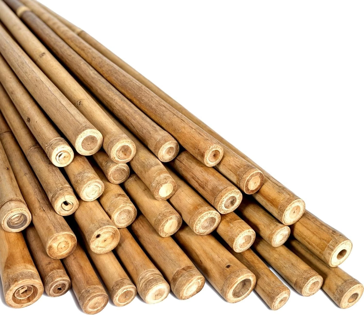 LOIBUYZ Bamboo Canes - Plant Supports for Outdoor Plants – Heavy Duty Professional Bamboo Sticks for Plants, All Lengths 2,3,4,5,6,7 & 8ft Garden Canes, Garden Plant Supports (5, 3ft, 10-12mm)