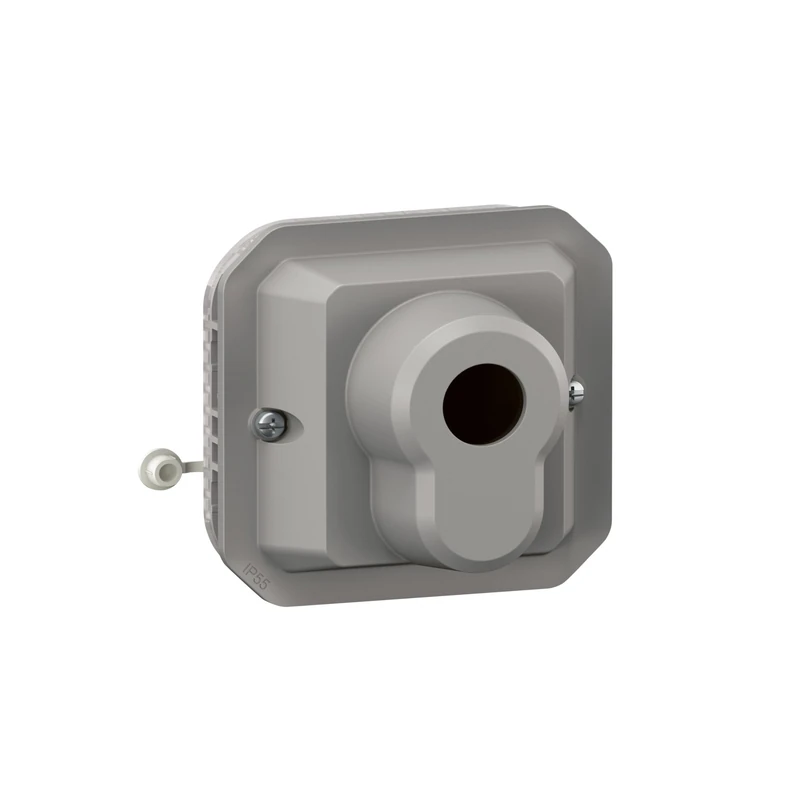 LEGRAND, Plexo New Insert, Ronis Key Switch, 3 Positions, Screw Terminals, IP 55 - IK 08, Colour: Grey, 069535L