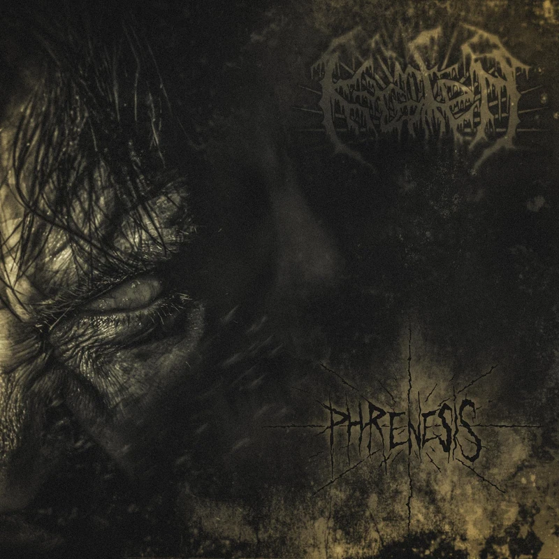 Phrenesis [VINYL]
