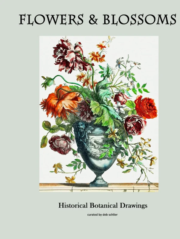 Flowers & Blossoms: Historical Botanical Drawings