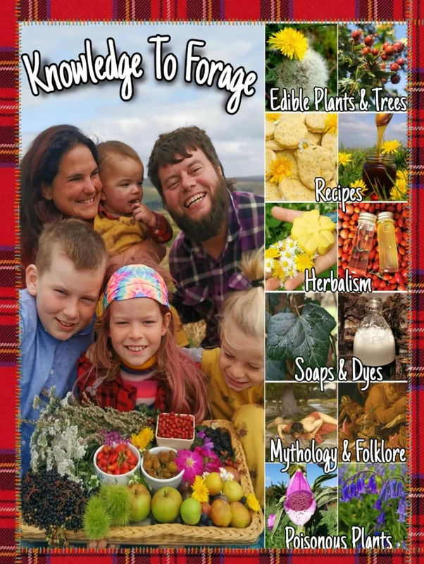 Knowledge to Forage Collector's Edition (The Knowledge to Forage Series)