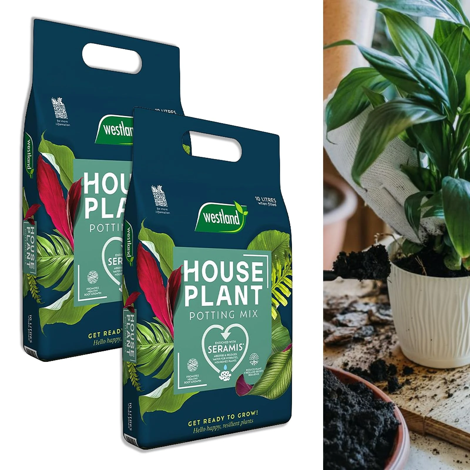 Carbeth Plants - Peat Free Compost for Indoor Plants - 2 x 10 Litre Bags - House Plant Potting Mix - Promotes Healthy Root Growth