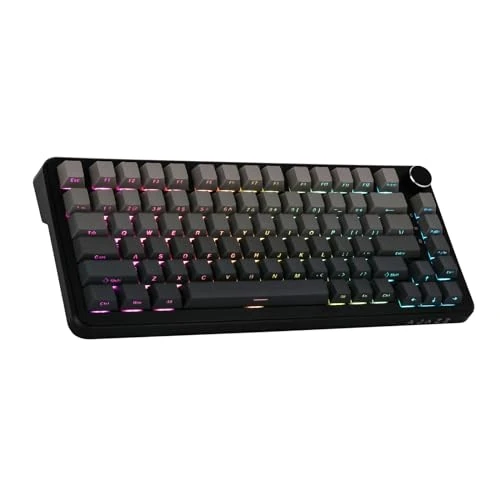 MechLands AK820 MAX Upgraded Gasket-mounted Wireless Mechanical Keyboard, BT5.0/2.4GHz/USB-C Gaming Keyboard, with 5-Layer Padding, Flex-Cut PCB, FR4 Plate, RGB Backlights for Win/Mac (Black)