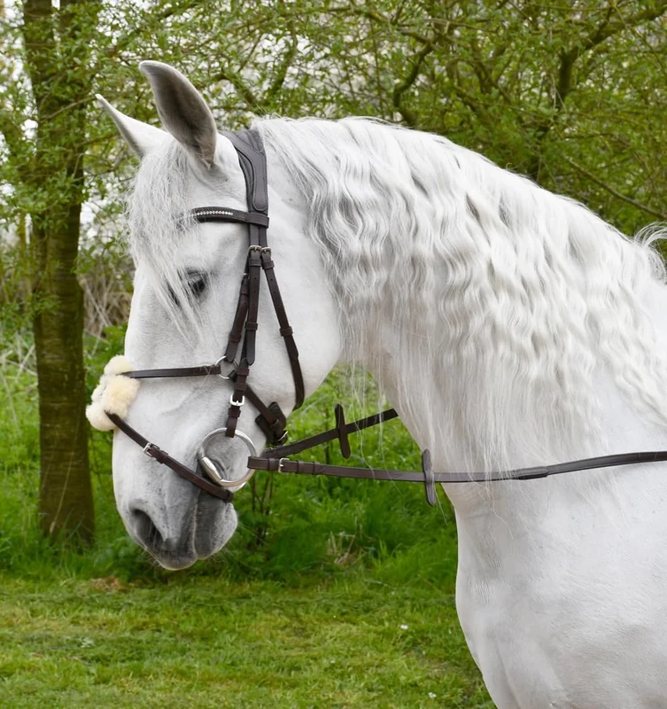 Rhinegold Anatomical Mexican Bridle