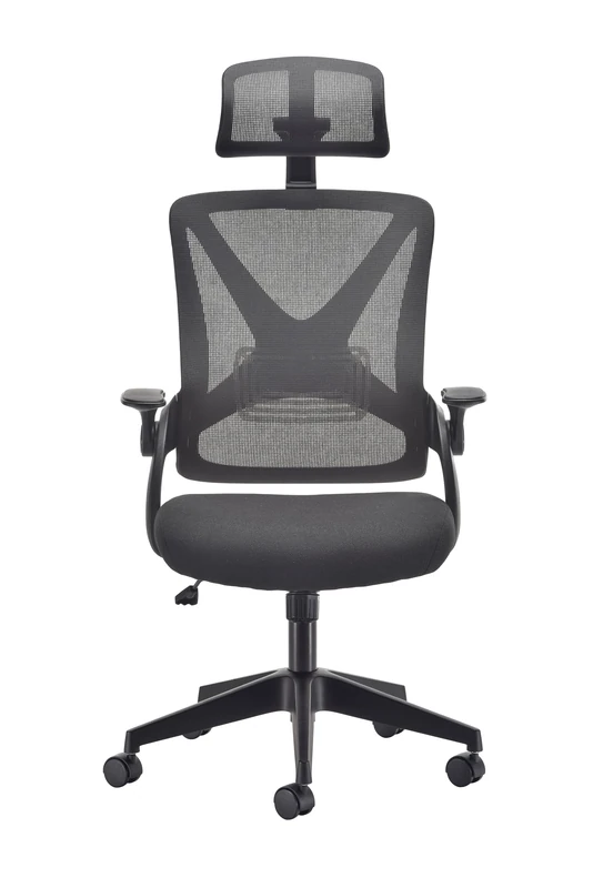 Office Hippo - Black Ergonomic Mesh Office Chair With Lumbar Support. Adjustable Desk Chair With Reclining Back & Seat, Flip Up Armrests And Comfortable Seat Cushion. For The Office And Home Use
