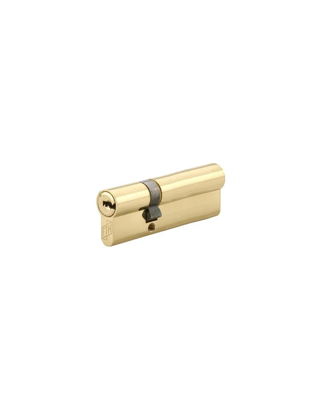 THIRARD 00052113 Cylindre Double Entry Lock FTH 6G, 30x60mm, Brass Cylinder, Picking, Drilling and Removal Protection, 3 Reversible Flat Keys, 30x60 mm