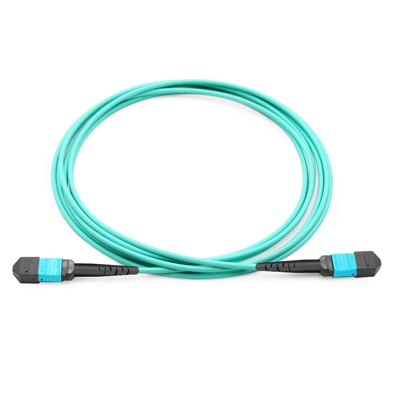 MPO to MPO Fiber Patch Cable 12 Fibers OM4 50/125 Multimode Trunk Cable LSZH Type A (Female to Female, 25m)
