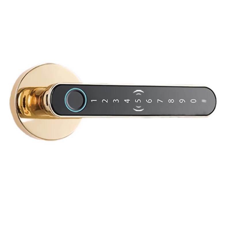 Rawrr ICT8 Elektronisches Fingerabdruck Türschloss Electronic Fingerprint Door Lock, Gold
