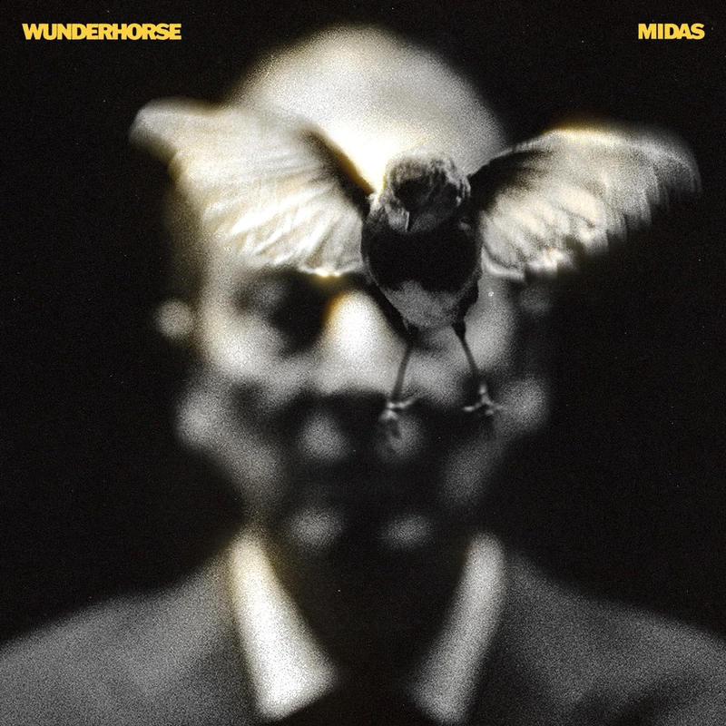 Midas [Vinilo] [Vinyl LP] [VINYL]