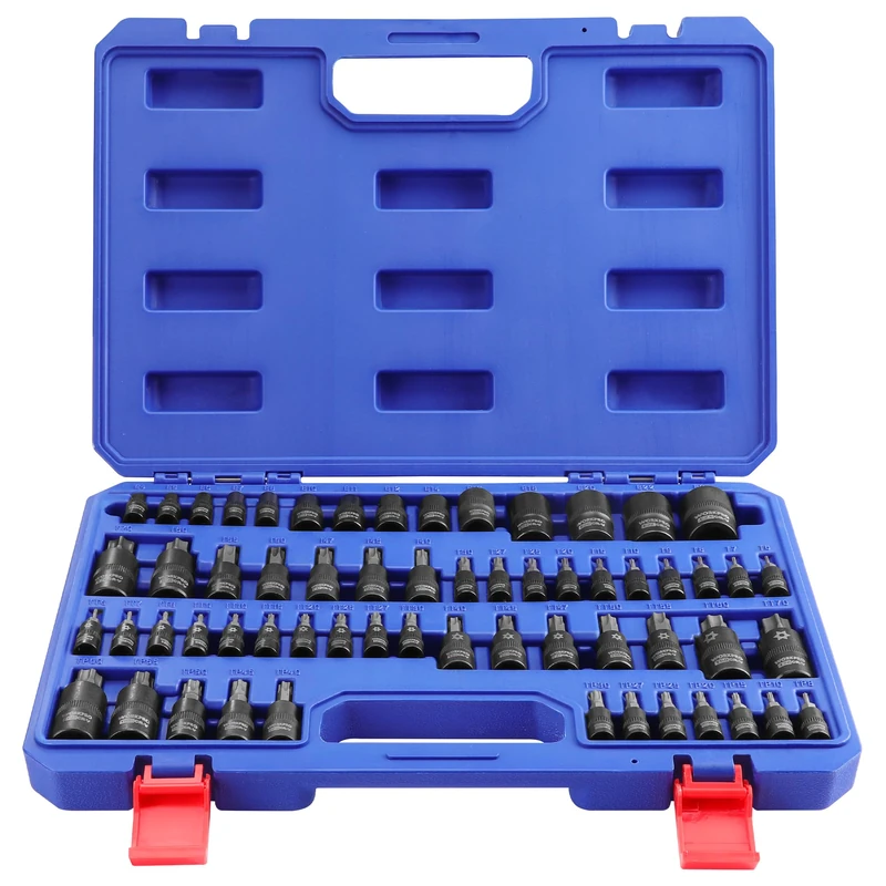 WORKPRO 60-Piece Master Torx Bit Socket Set, 1/4", 3/8", 1/2" Drive Bits, E4-E24, T6-T70, TT6-TT70, TP8-TP60, with Enhanced Storage Case