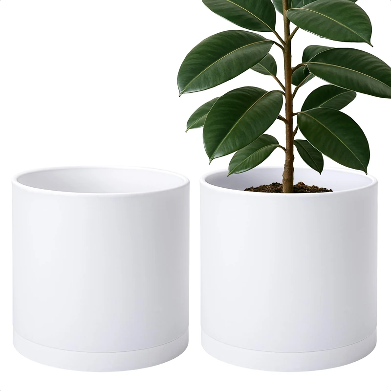 D'vine Dev 2-Pack White Plastic Planters with Saucers, 12 in, 74-Z-P-1