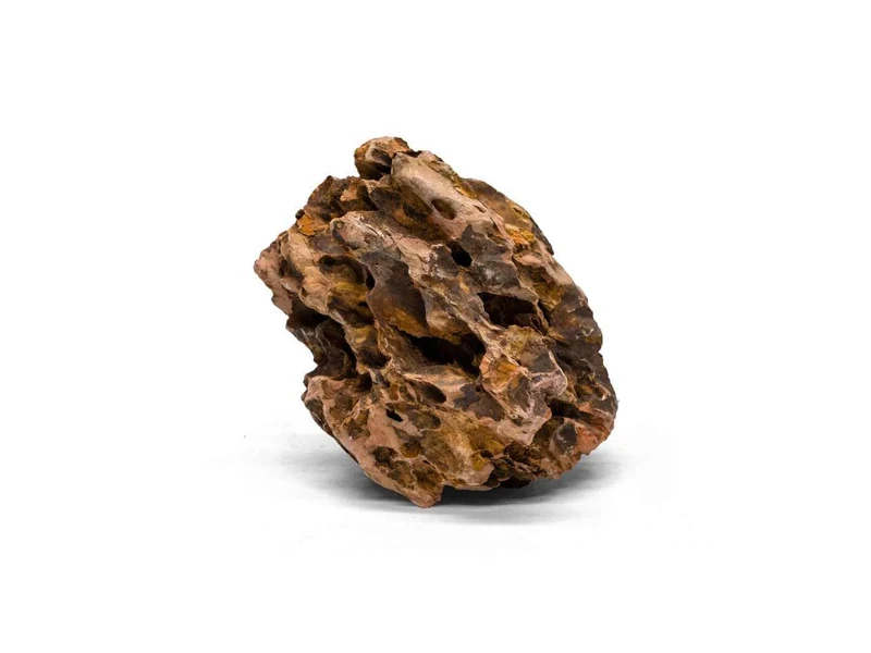 Natural Dragon Stone for Aquascaping & Terrariums – Detailed Aquarium Rock in Various Sizes – Dragon Rock with Neutral pH & Vibrant Colour – Ideal for Aquarium & Terrarium Landscapes (10 kg)