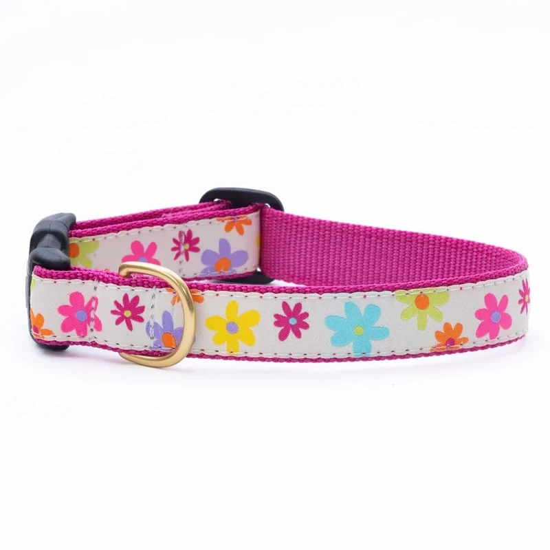 Spring Fever Collar L Dog collar