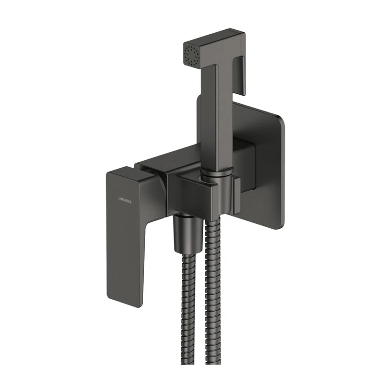 Omnires Bidet System which is Mount Under The Plaster Parma - Graphite - SYSPMBI2GR