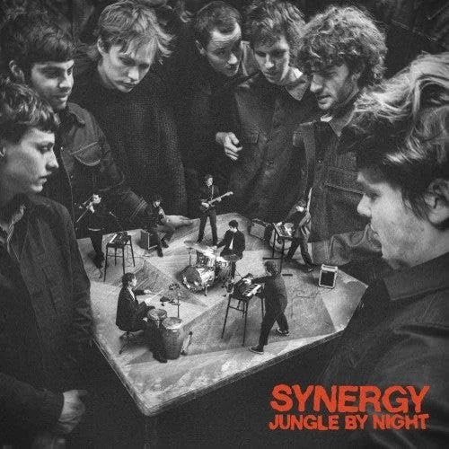 Synergy [VINYL]