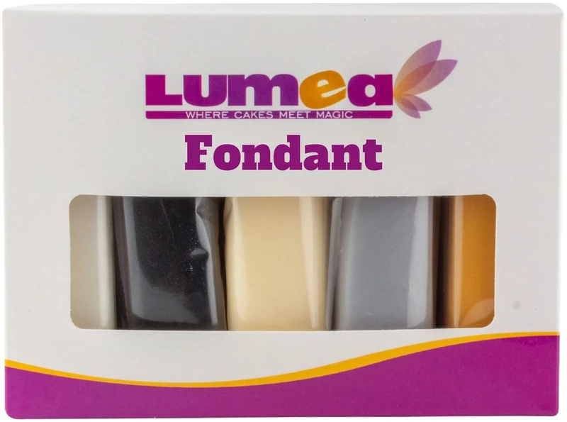 Dekozauber24 Fondant icing multipack, 5 colours, 100g (3.5oz) rolled fondant per colour, for cakes, cupcakes and figurines in white, black, cream, silver and golden caramel (Basics)