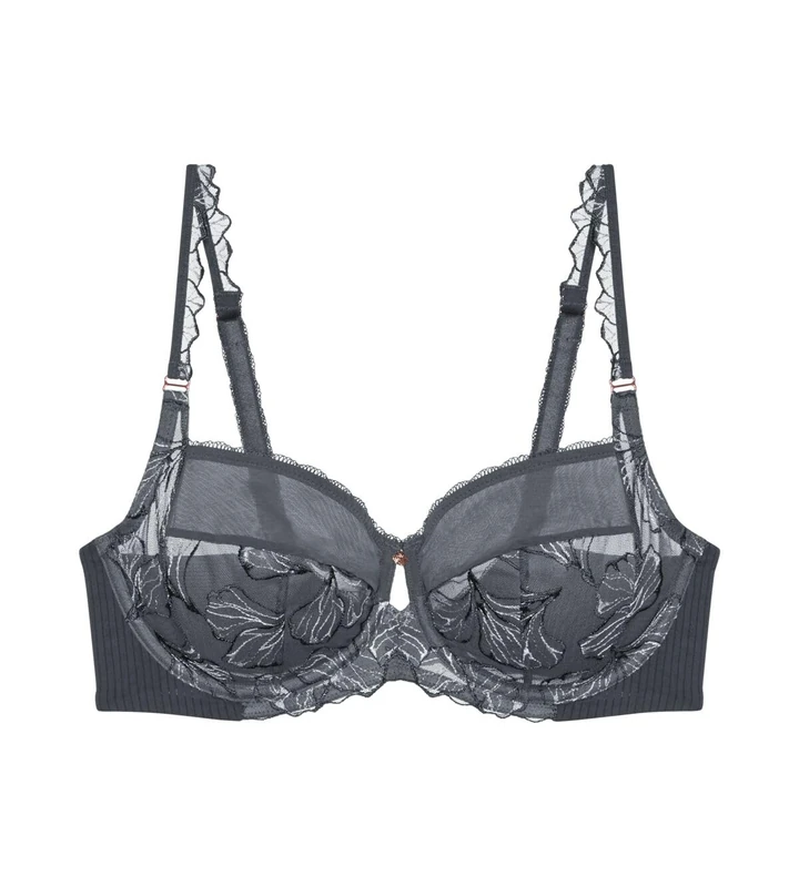 Wild Iris Florale W Anta, Anta, 38E