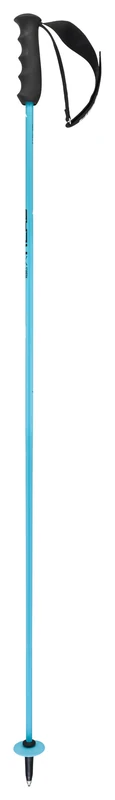 HEAD Unisex Adult Worldcup Rebels Carbon Ski Poles, Speed Blue/Black/White, 135