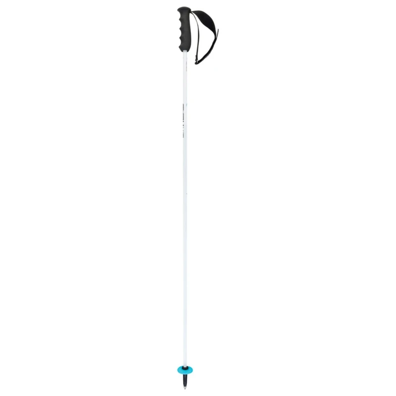 HEAD Unisex Adult Worldcup Rebels Carbon Ski Poles, White/Black/Speed Blue, 120
