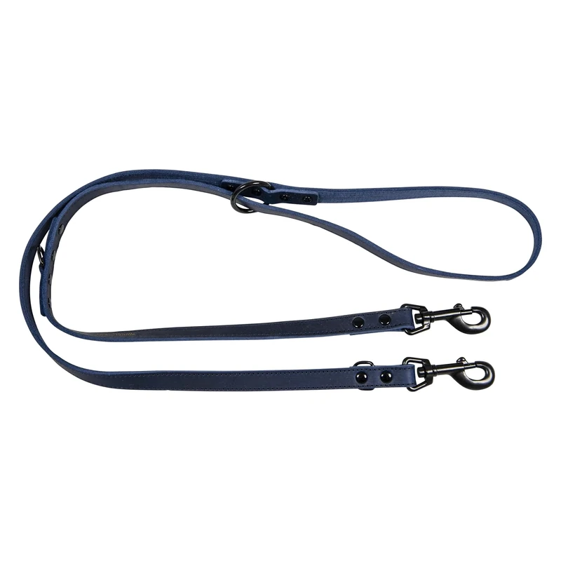 JACK AND VANILLA, Training Lead for Dogs, Black Label Model, Blue, Size 18 mm x 200 cm