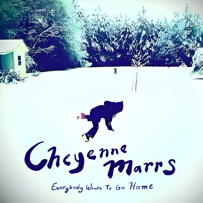 Everybody Wants To Go Home [Vinyl LP] [VINYL] - Image 1