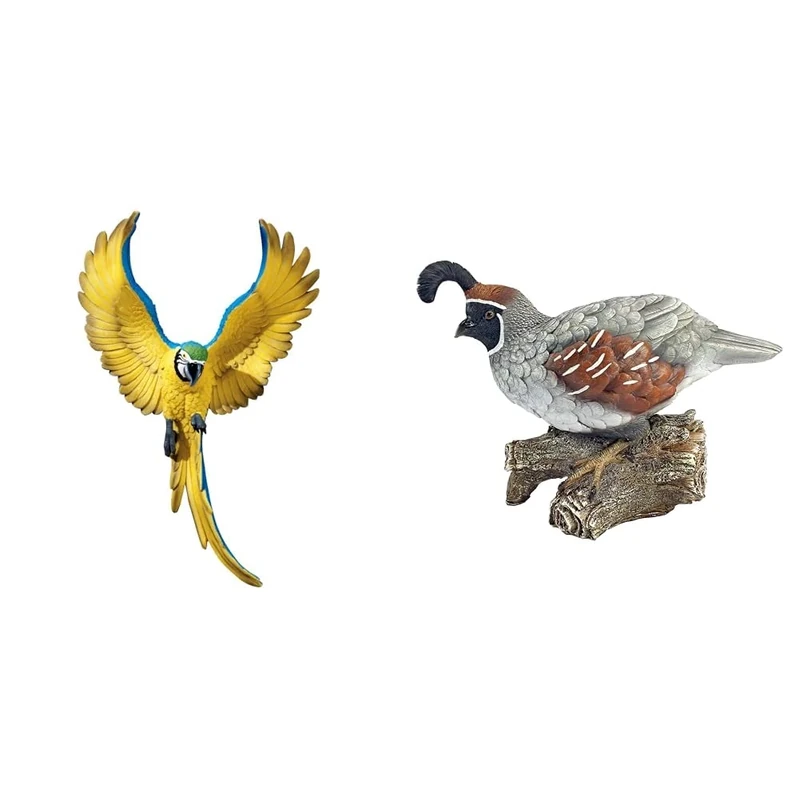 Design Toscano Flapping Macaw Bird Tropical Decor Wall Sculpture, 40.5 cm, Polyresin, Full Colour & QM2385600 Coco, the Quail Bird Statue - Image 1