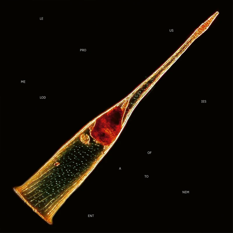 Melodies Of Atonement [Vinyl LP] [VINYL]