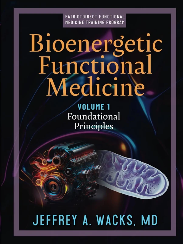 Bioenergetic Functional Medicine: Volume 1: Foundational Principles