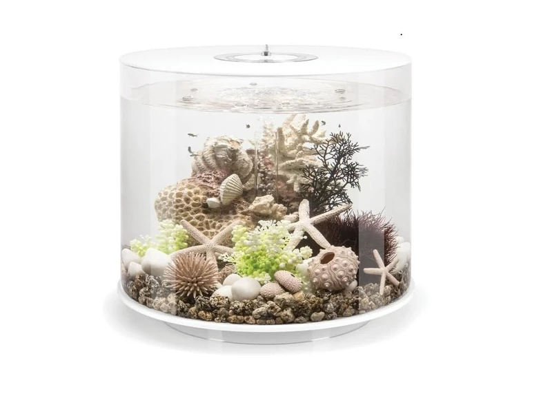 biOrb TUBE 35 Acrylic Aquarium, White, MCR Multi-Colour Remote LED Lighting, Fish Tank with 360-Degree View & 5-Step Filtration, Easy Setup, Includes Remote, Air Pump, Filter Cartridge, Ceramic Media