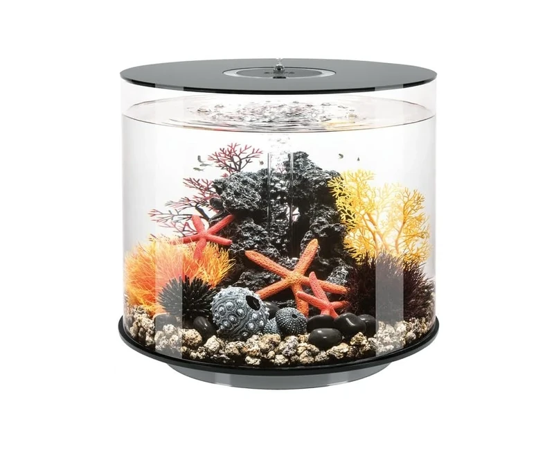 biOrb TUBE 35 Acrylic Aquarium, Black, MCR Multi-Colour Remote LED Lighting, Fish Tank with 360-Degree View & 5-Step Filtration, Easy Setup, Includes Remote, Air Pump, Filter Cartridge, Ceramic Media